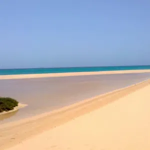 https://your-ocean-suite.in-canary-islands.com
