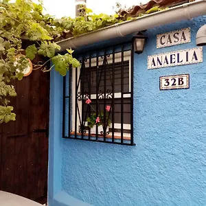 https://casa-anaelia.in-canary-islands.com